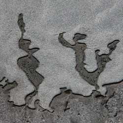 dailyPhoto12